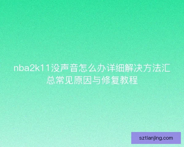 nba2k11没声音怎么办详细解决方法汇总常见原因与修复教程
